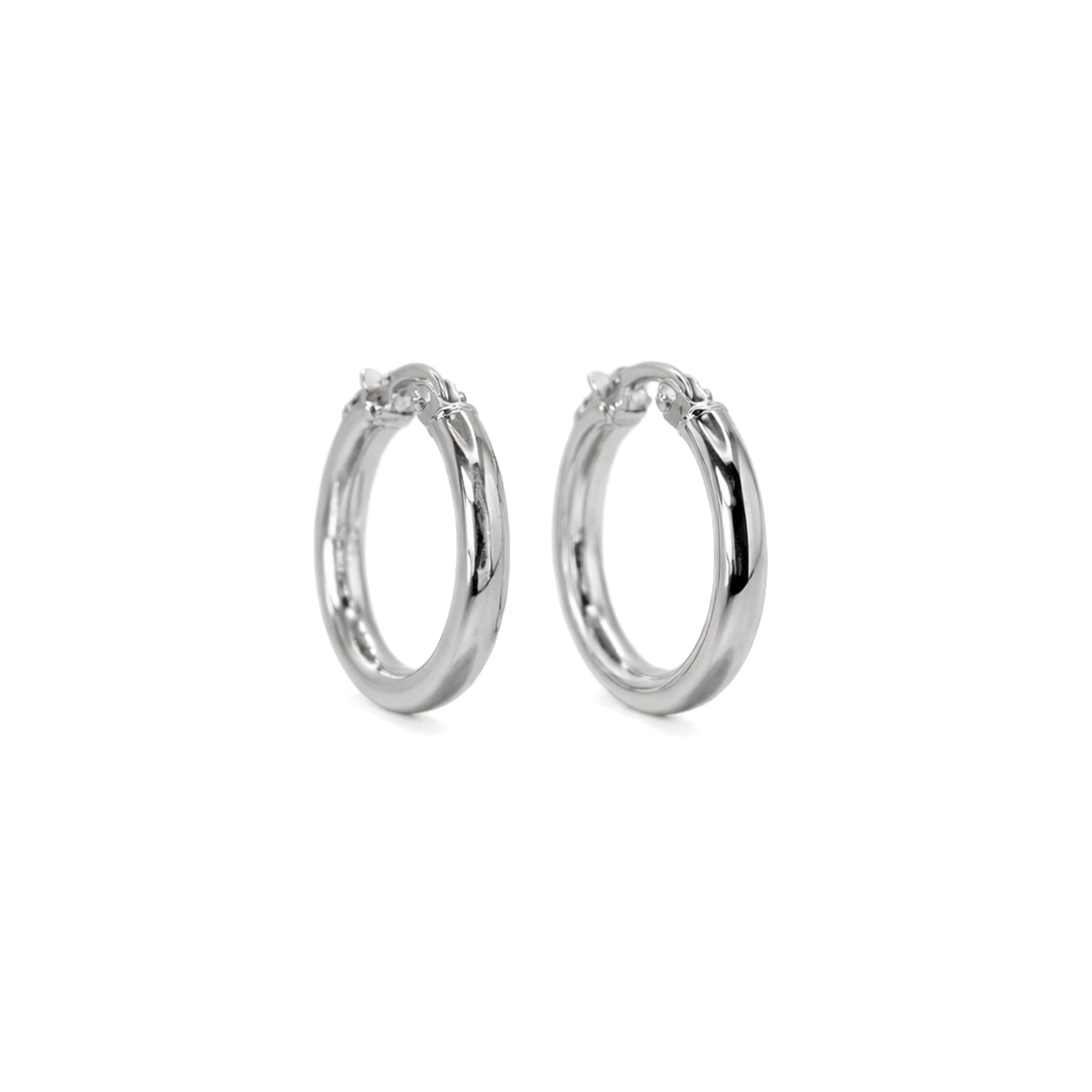 Small Hoop Earrings in White Gold Image